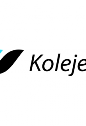 Koleje Śląskie