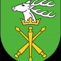 Powiat Janowski