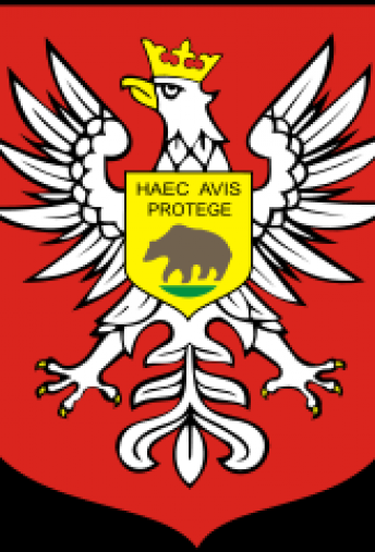 Miasto Ostrołęka